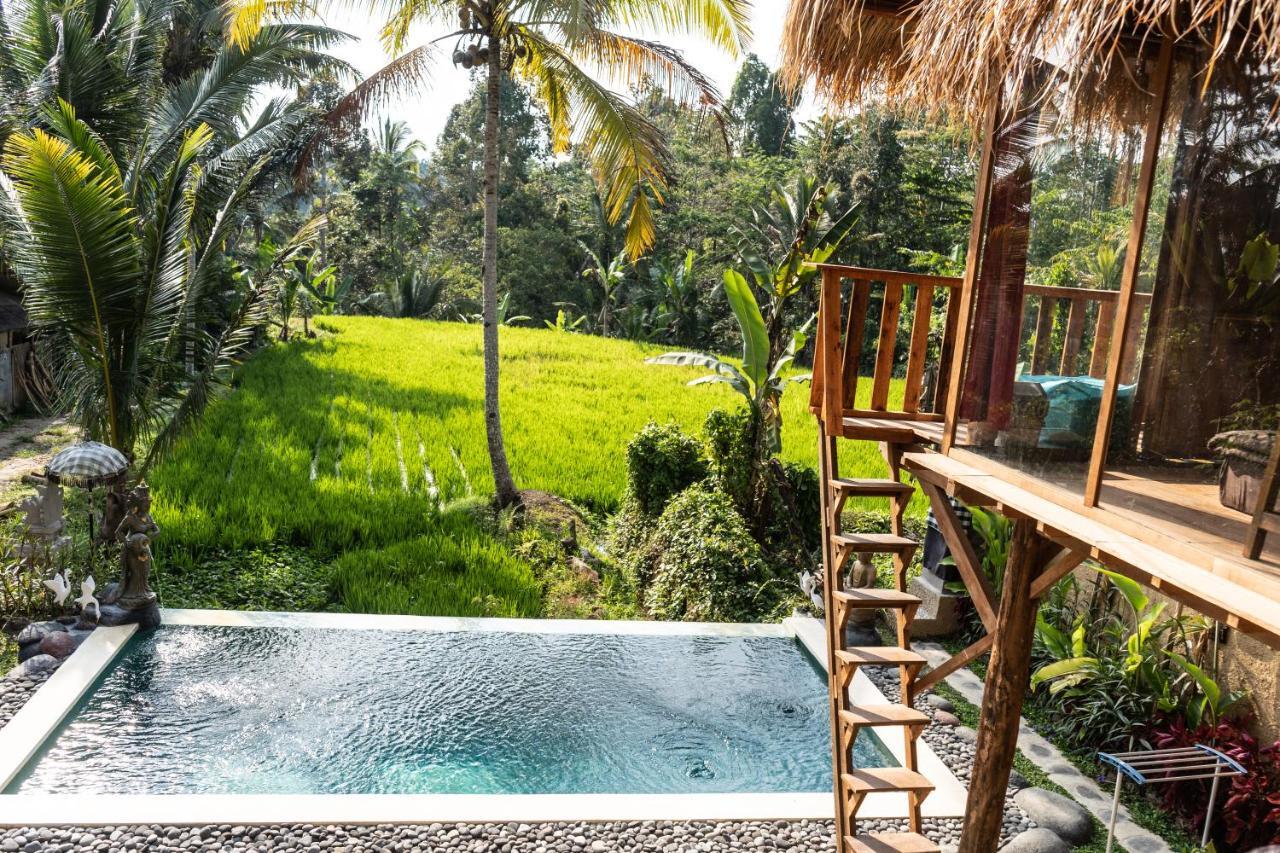 Bali Bamboo Jungle Huts And Hostel Tampaksiring Eksteriør billede