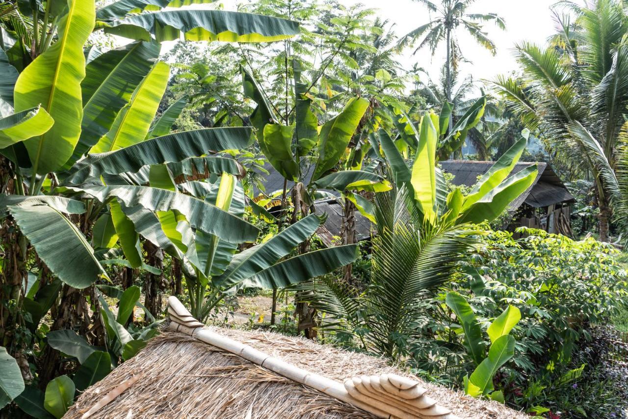 Bali Bamboo Jungle Huts And Hostel Tampaksiring Eksteriør billede