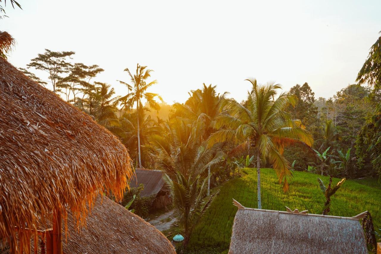 Bali Bamboo Jungle Huts And Hostel Tampaksiring Eksteriør billede